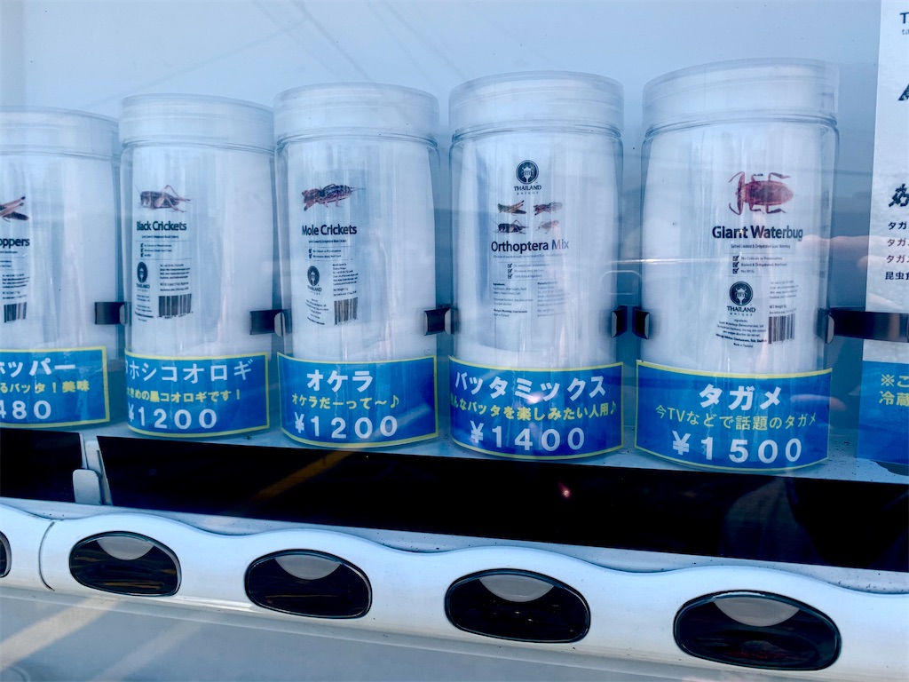 f:id:tuberculin:20210531211121j:image