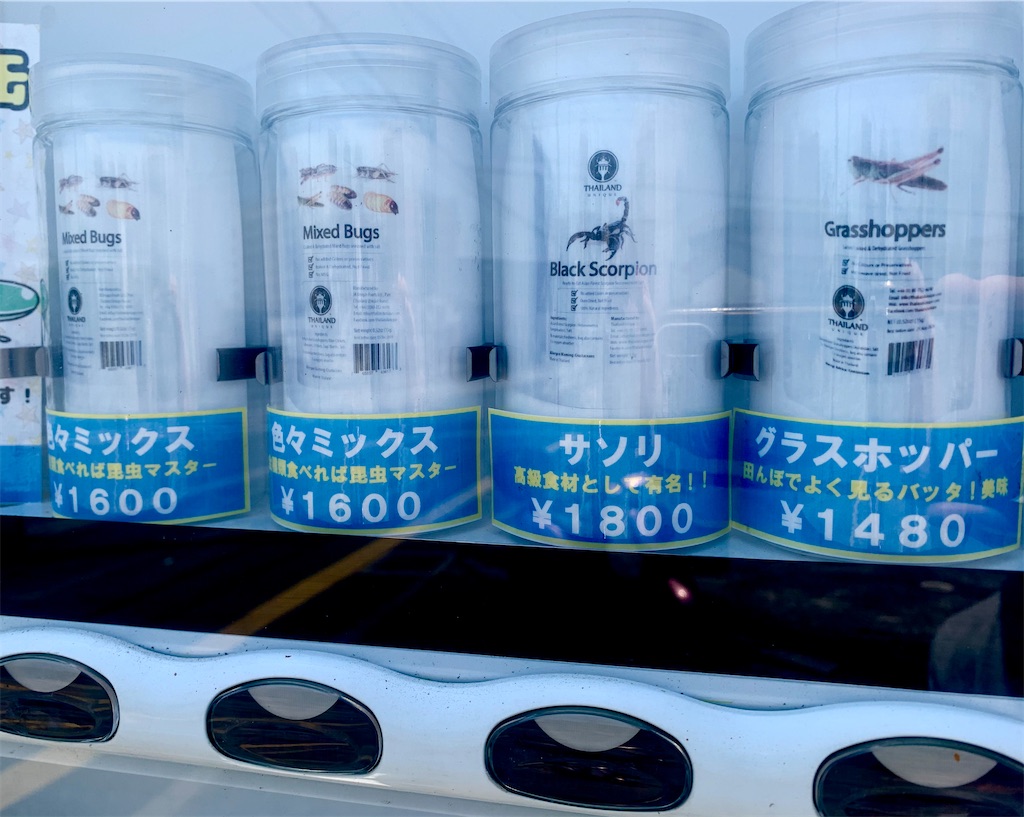 f:id:tuberculin:20210531211124j:image