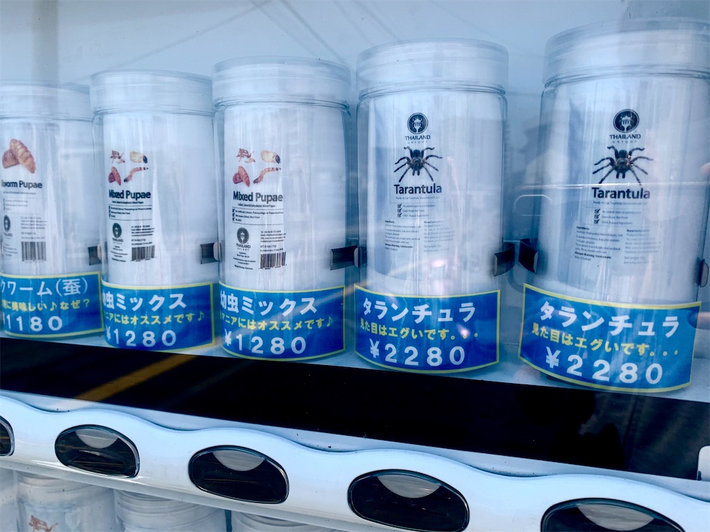 f:id:tuberculin:20210531211131j:image