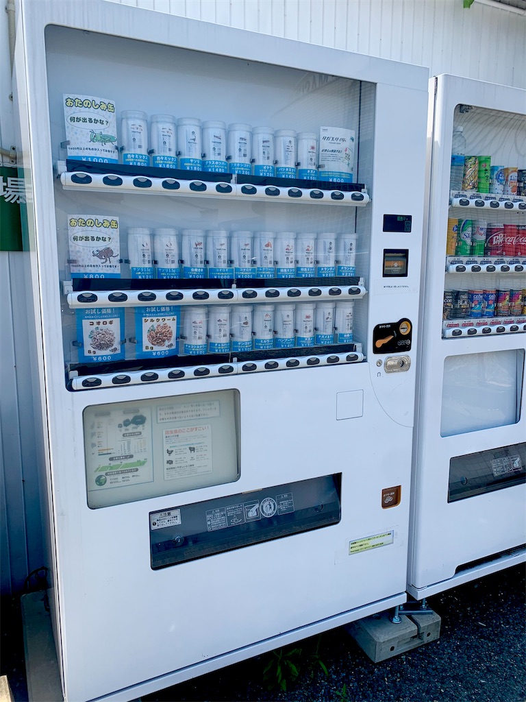 f:id:tuberculin:20210531211141j:image