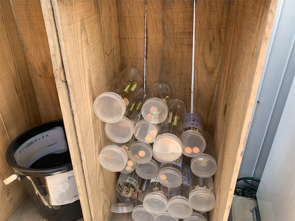 f:id:tuberculin:20210531211245j:plain