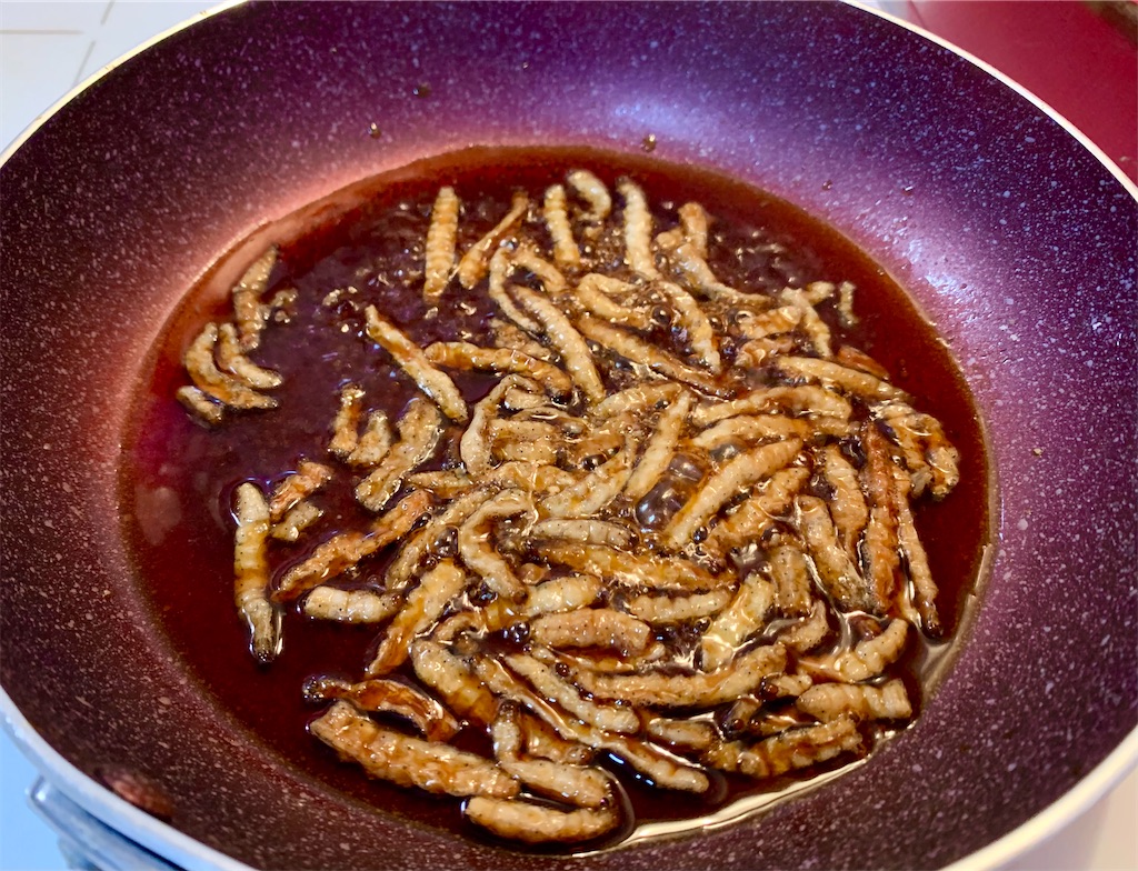 f:id:tuberculin:20210531211253j:image