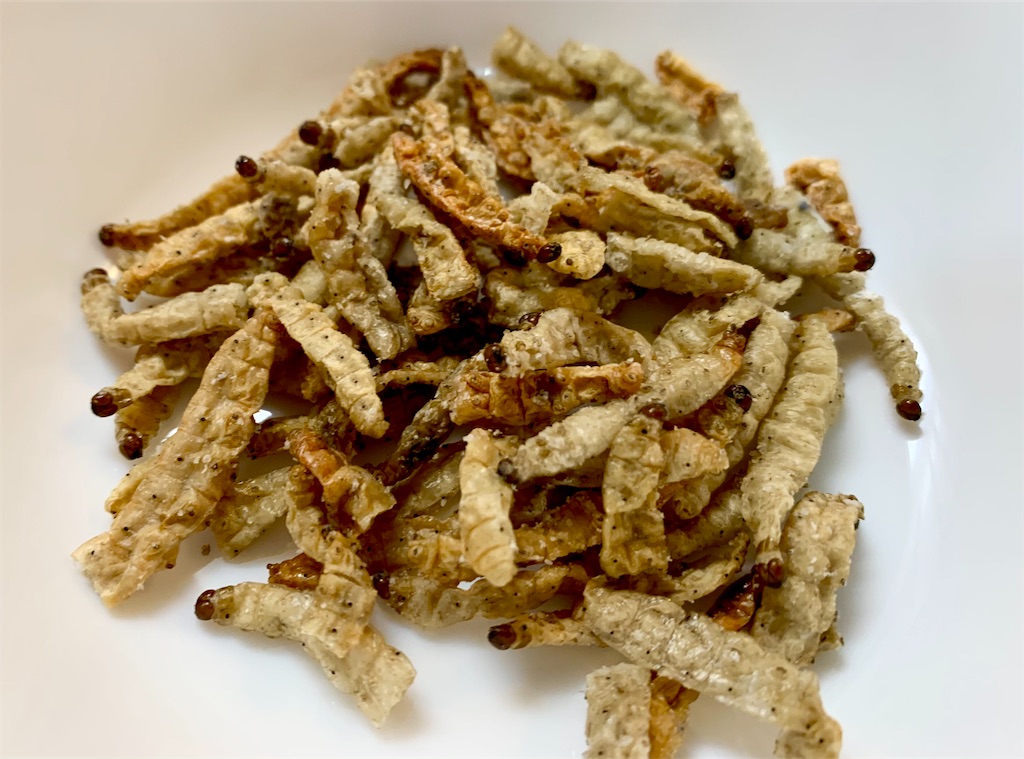 f:id:tuberculin:20210531211304j:image