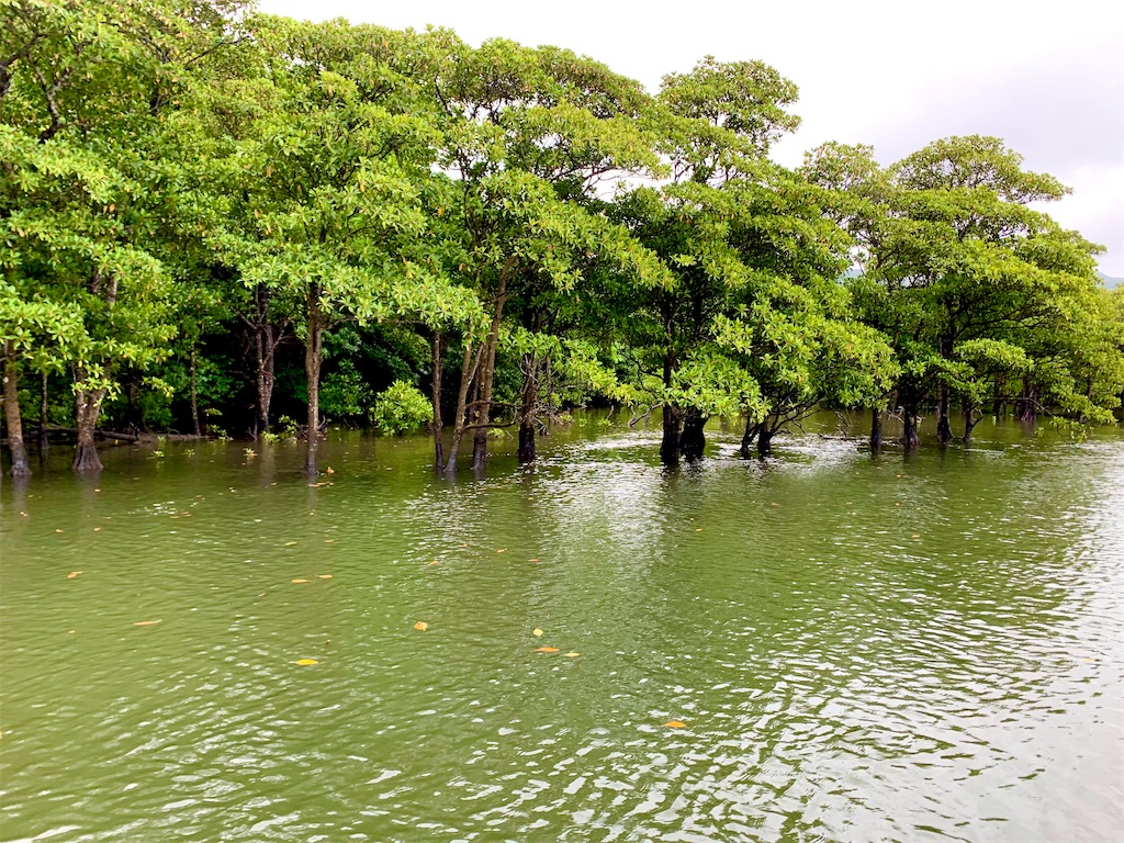 f:id:tuberculin:20220510102730j:image