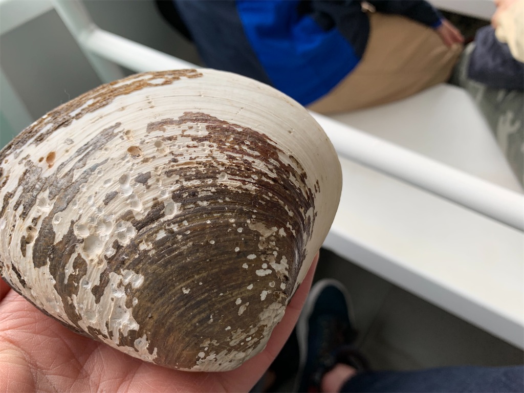 f:id:tuberculin:20220510102733j:image