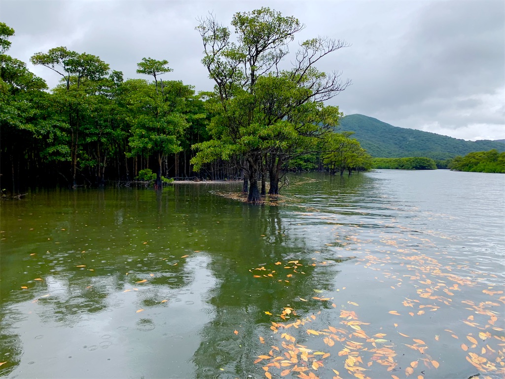 f:id:tuberculin:20220510102735j:image