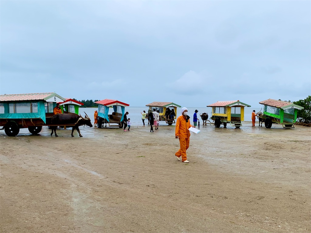 f:id:tuberculin:20220510102837j:image