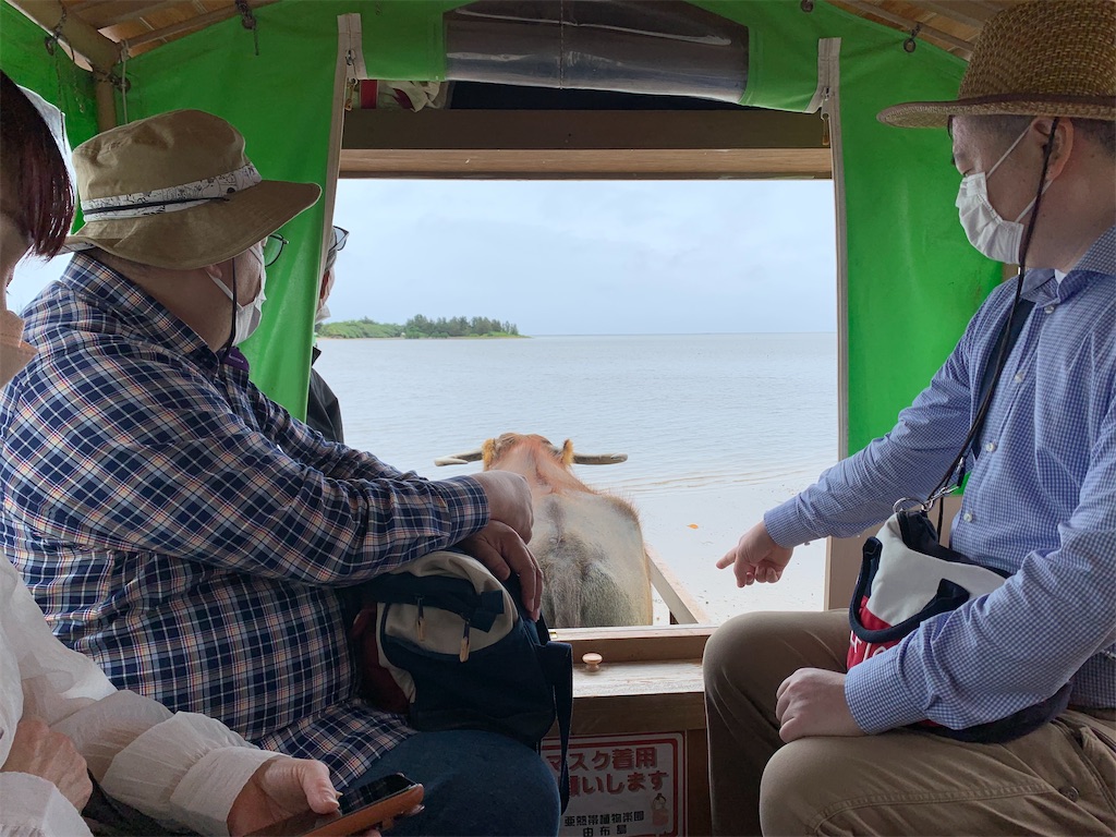 f:id:tuberculin:20220510103017j:image