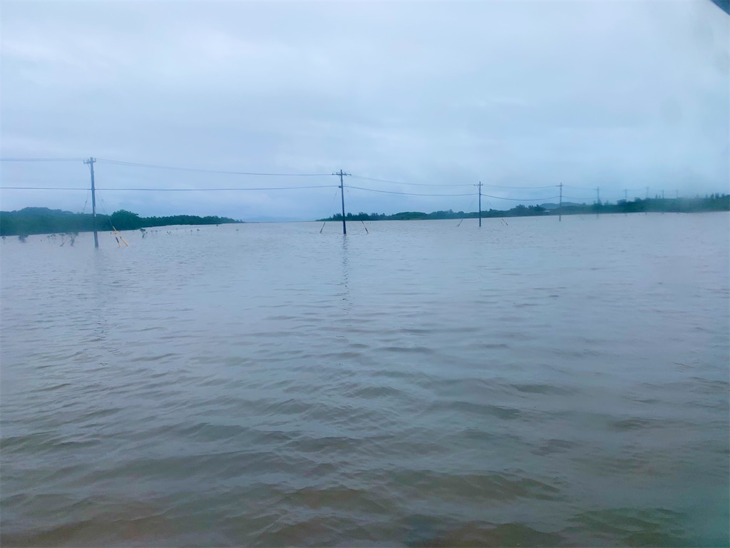 f:id:tuberculin:20220510103020j:image