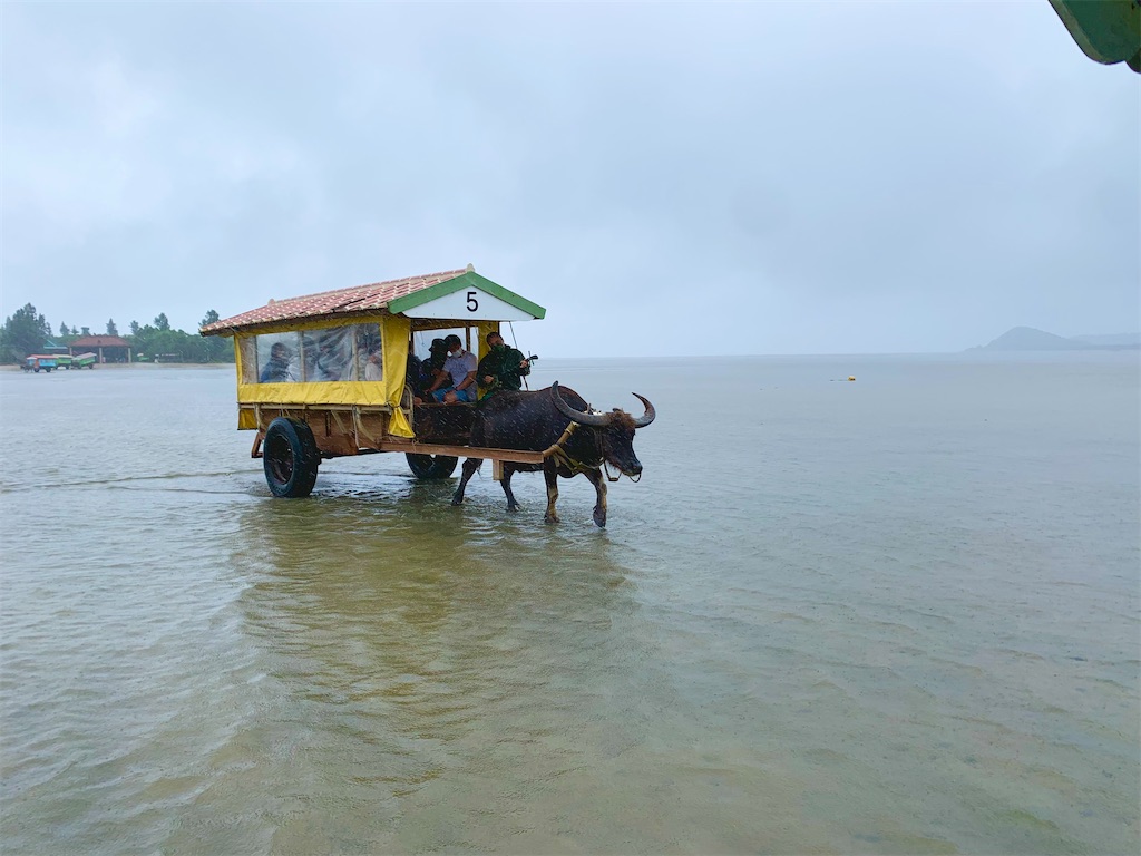 f:id:tuberculin:20220510103318j:image