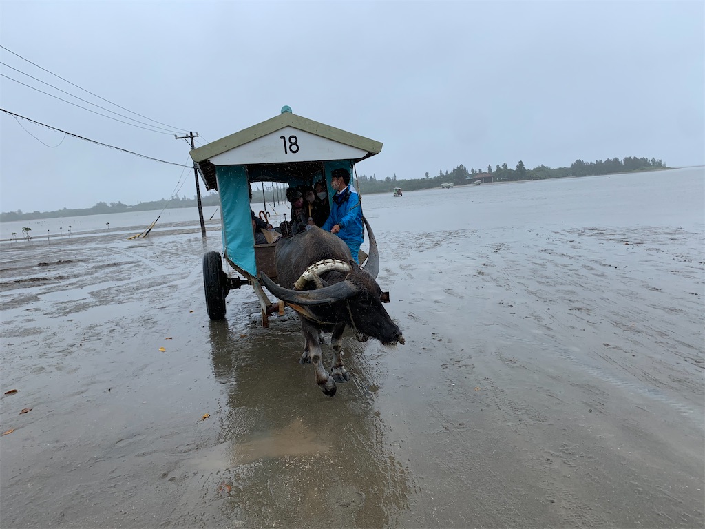 f:id:tuberculin:20220510103327j:image