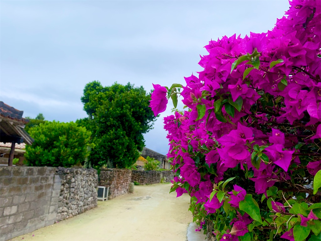 f:id:tuberculin:20220510103537j:image