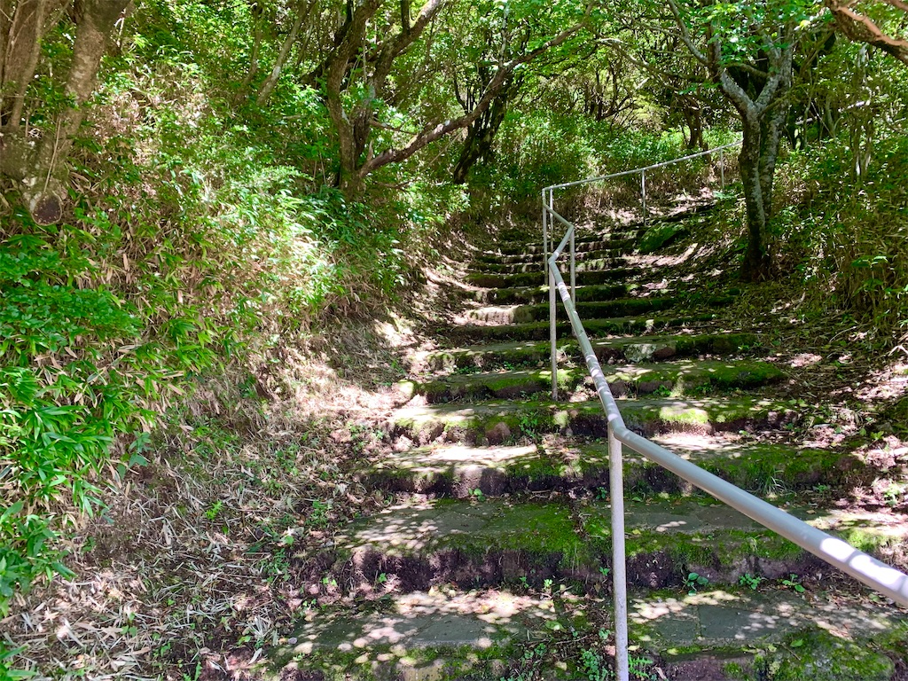 f:id:tuberculin:20220902212729j:image