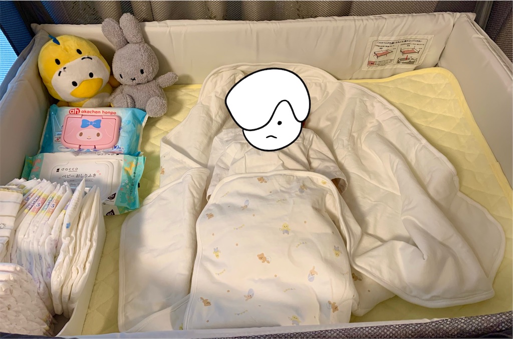 f:id:tuberculin:20230514114302j:image