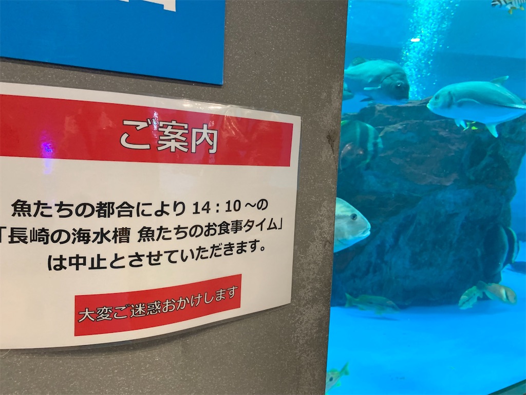 f:id:tuberculin:20231124005132j:image