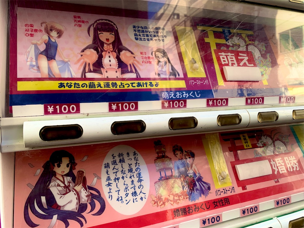 f:id:tuberculin:20241209215611j:image