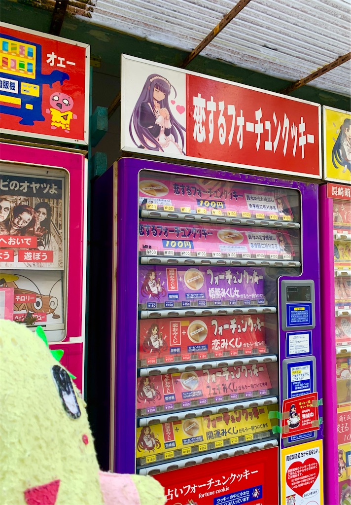 f:id:tuberculin:20241209215907j:image