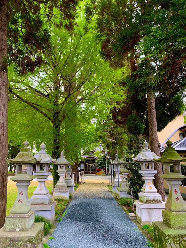 f:id:tuberculin:20250421091016j:image
