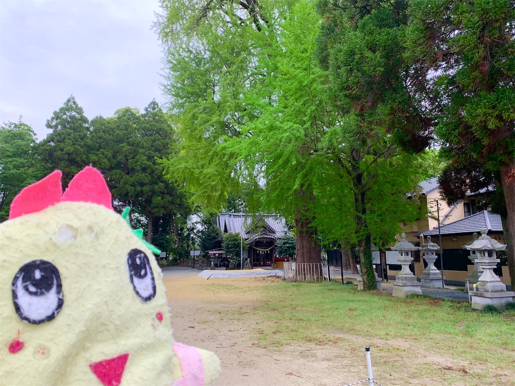 f:id:tuberculin:20250421091027j:image