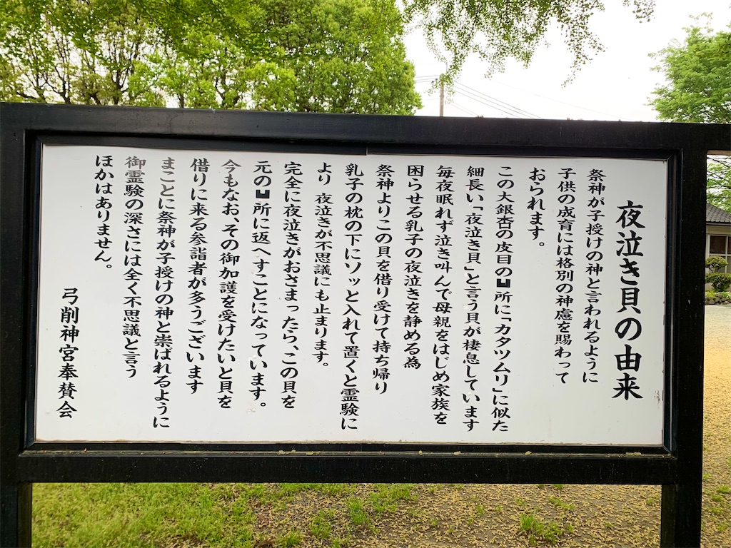 f:id:tuberculin:20250421091030j:image