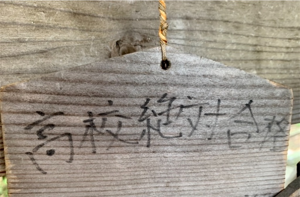 f:id:tuberculin:20250422231353j:image
