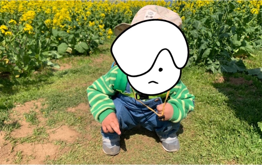 f:id:tuberculin:20250502222829j:image