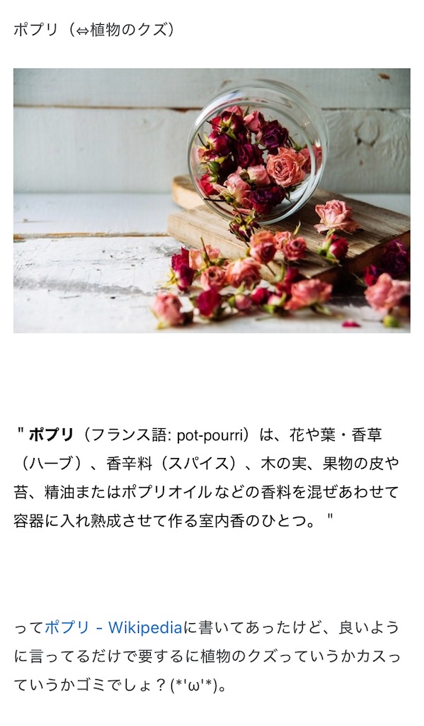 f:id:tuberculin:20250730234103j:image