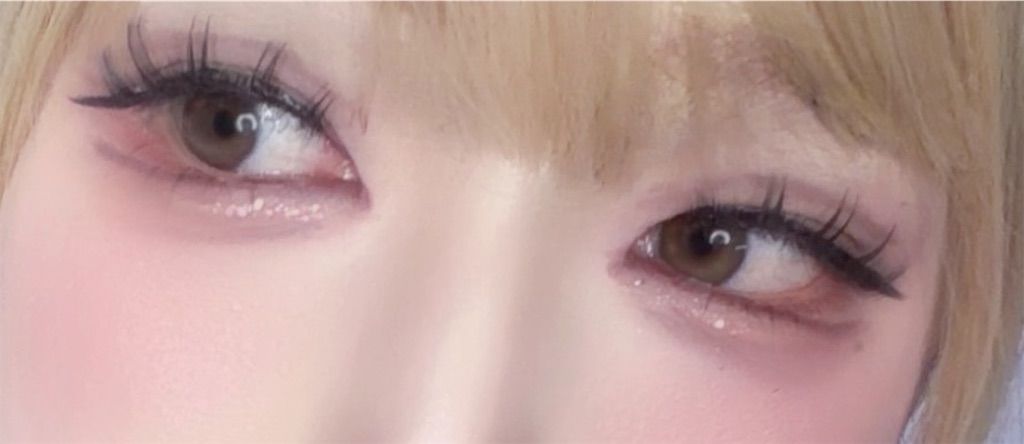 f:id:tuberculin:20260224224610j:image