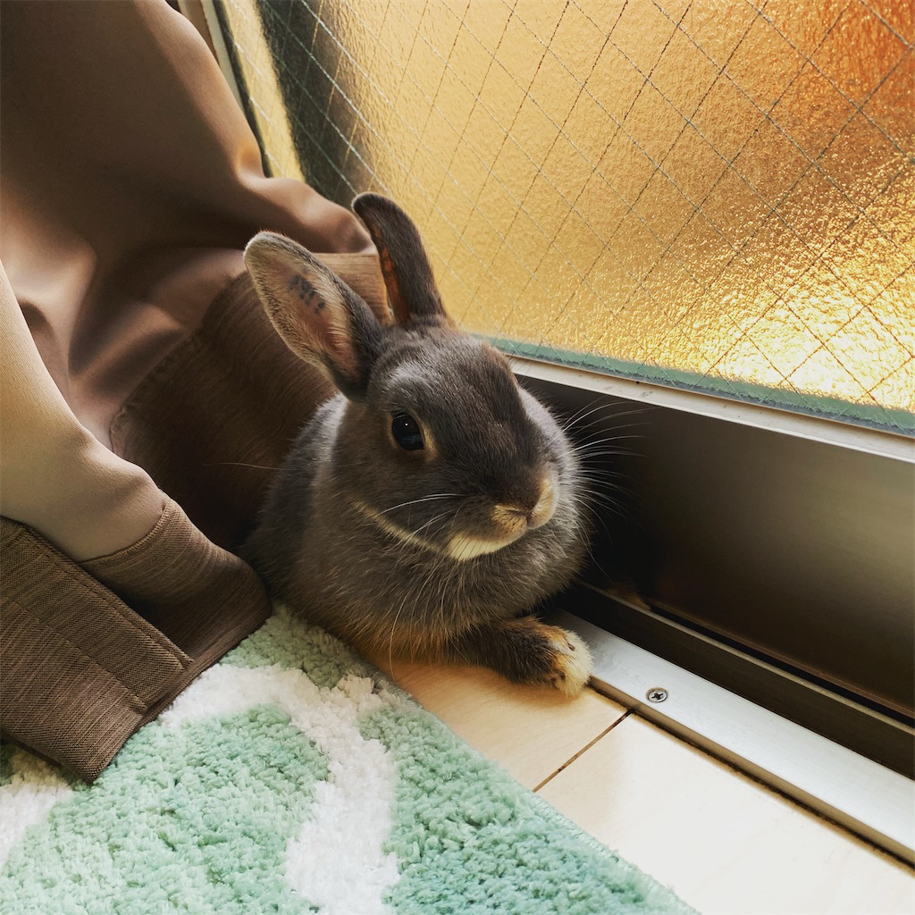 f:id:tuberculin:20260410173208j:image