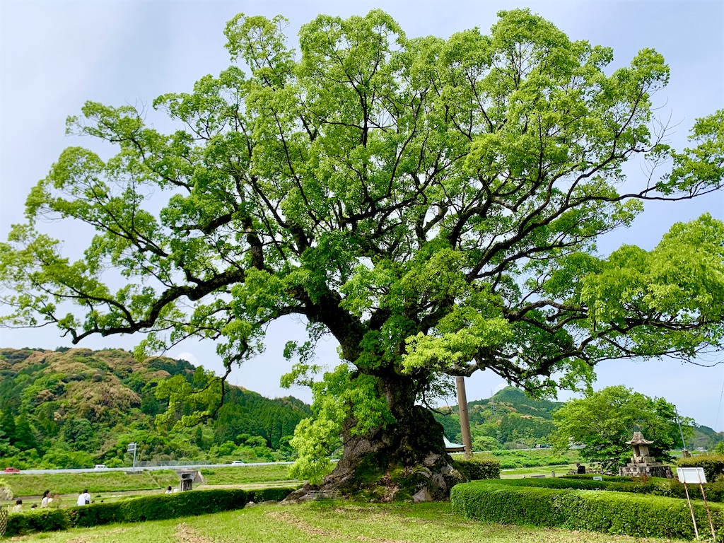 f:id:tuberculin:20260505212052j:image