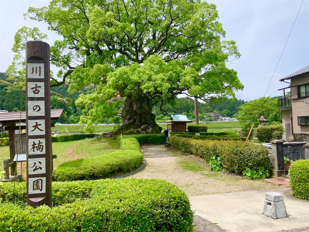 f:id:tuberculin:20260505212059j:image