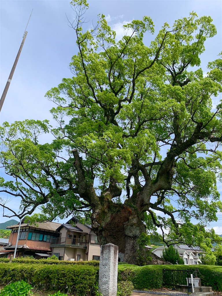 f:id:tuberculin:20260505212220j:image