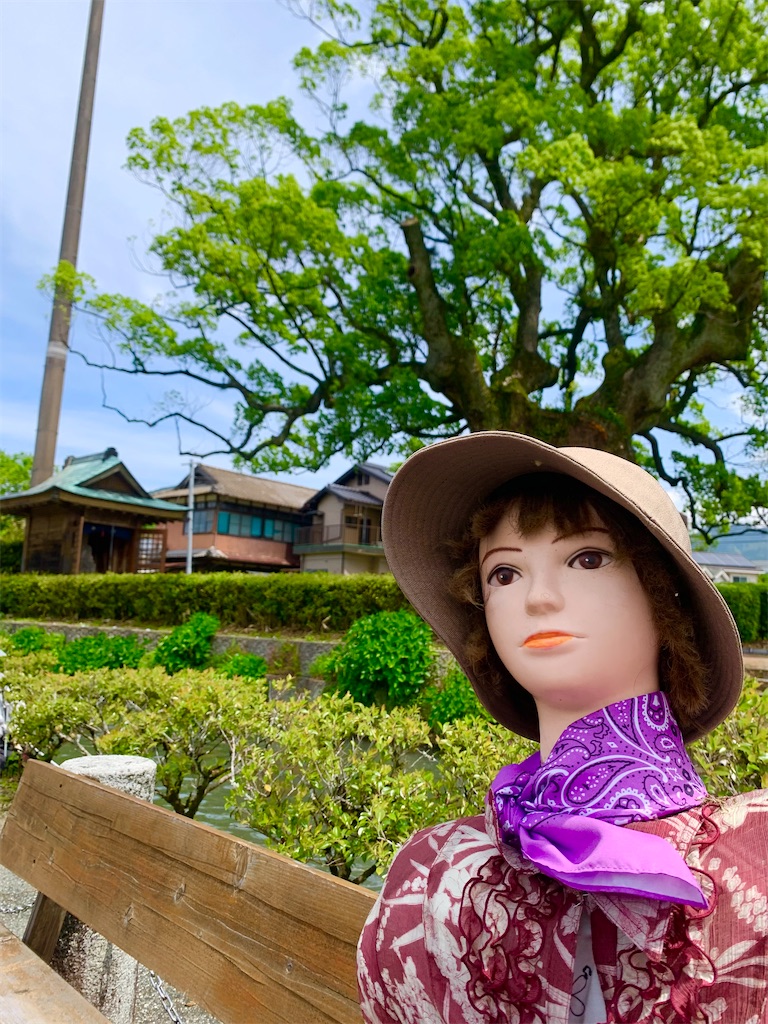 f:id:tuberculin:20260505212335j:image