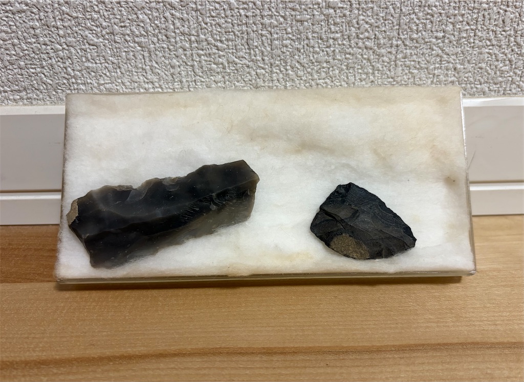 f:id:tuberculin:20260829224108j:image f:id:tuberculin:20260829224108j:image