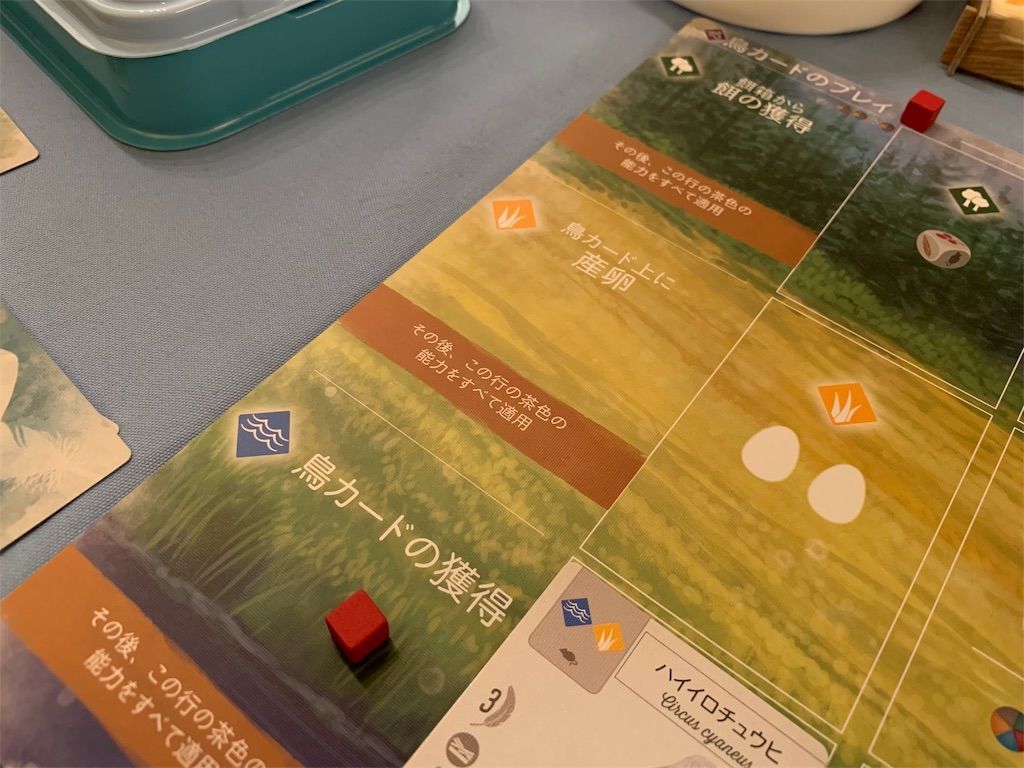 f:id:tubutubu524:20191031165110j:plain