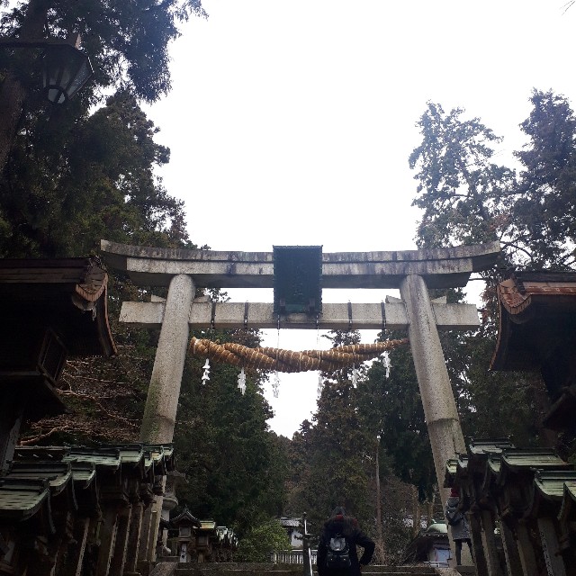 f:id:tuduritabi:20190203074220j:image f:id:tuduritabi:20190203074220j:image