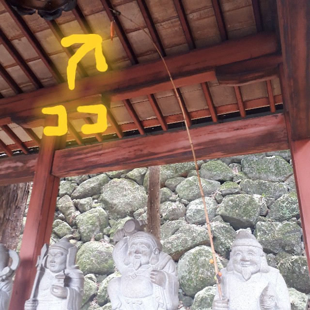 f:id:tuduritabi:20190203093836j:image f:id:tuduritabi:20190203093836j:image