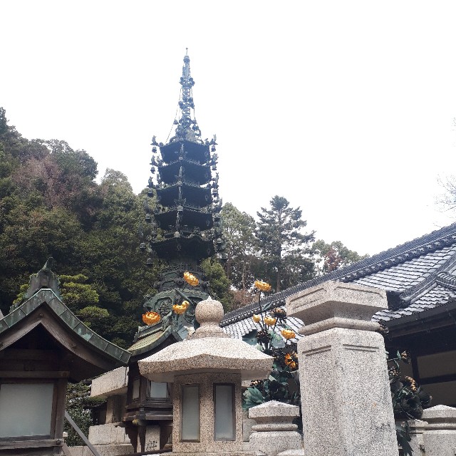 f:id:tuduritabi:20190204134123j:image f:id:tuduritabi:20190204134123j:image
