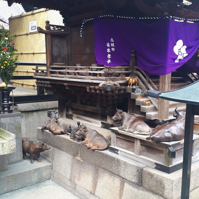 f:id:tuduritabi:20190204182832j:image f:id:tuduritabi:20190204182832j:image