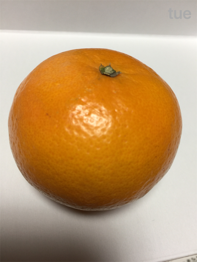 f:id:tueko:20190110172900p:plain f:id:tueko:20190110172900p:plain