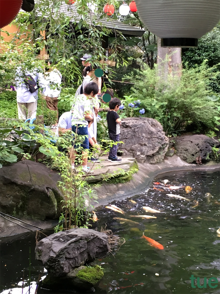 f:id:tueko:20190629181619p:image f:id:tueko:20190629181619p:image