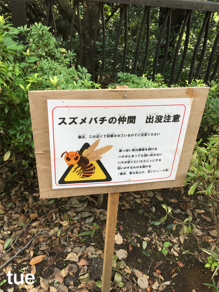 f:id:tueko:20191123144749p:image