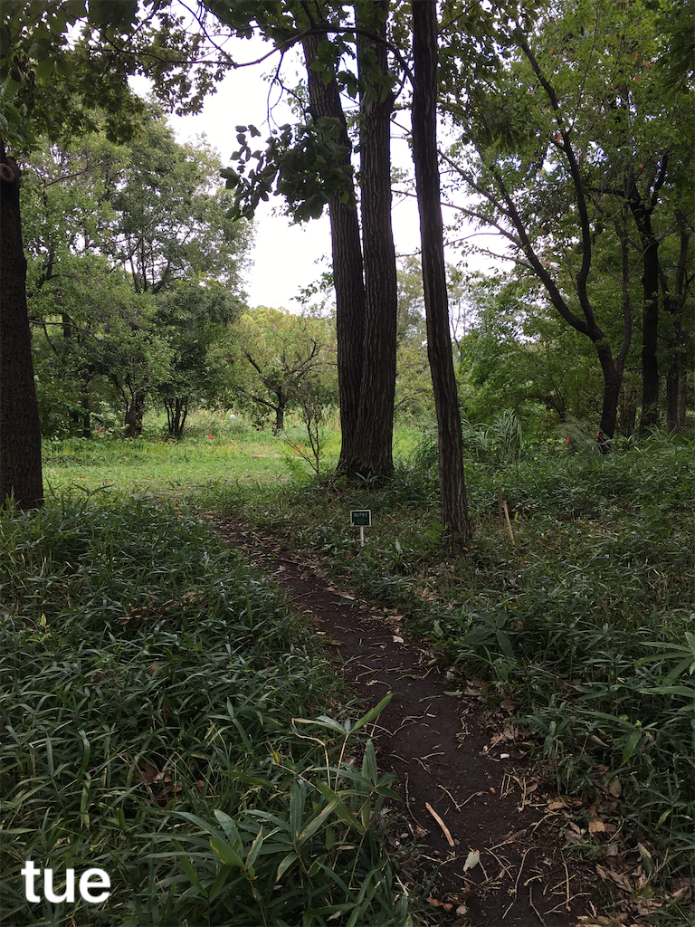 f:id:tueko:20191123155046p:image
