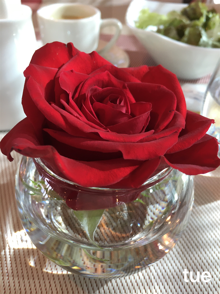 f:id:tueko:20200126231710p:image