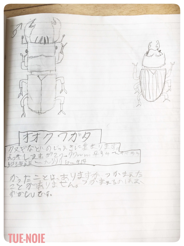 f:id:tueko:20200613170442j:image f:id:tueko:20200613170442j:image