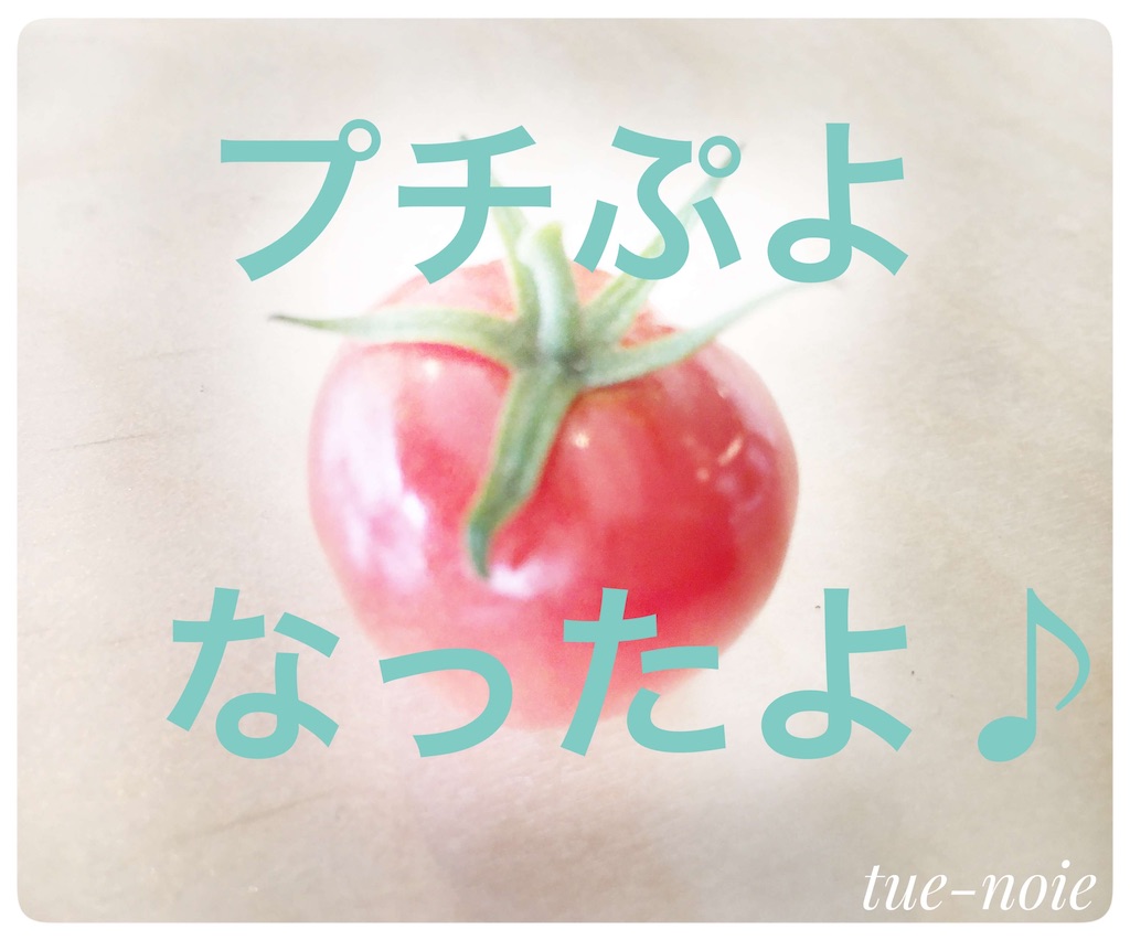 ベランダ野菜 プランターのプチぷよが実ったよ Tue Noie