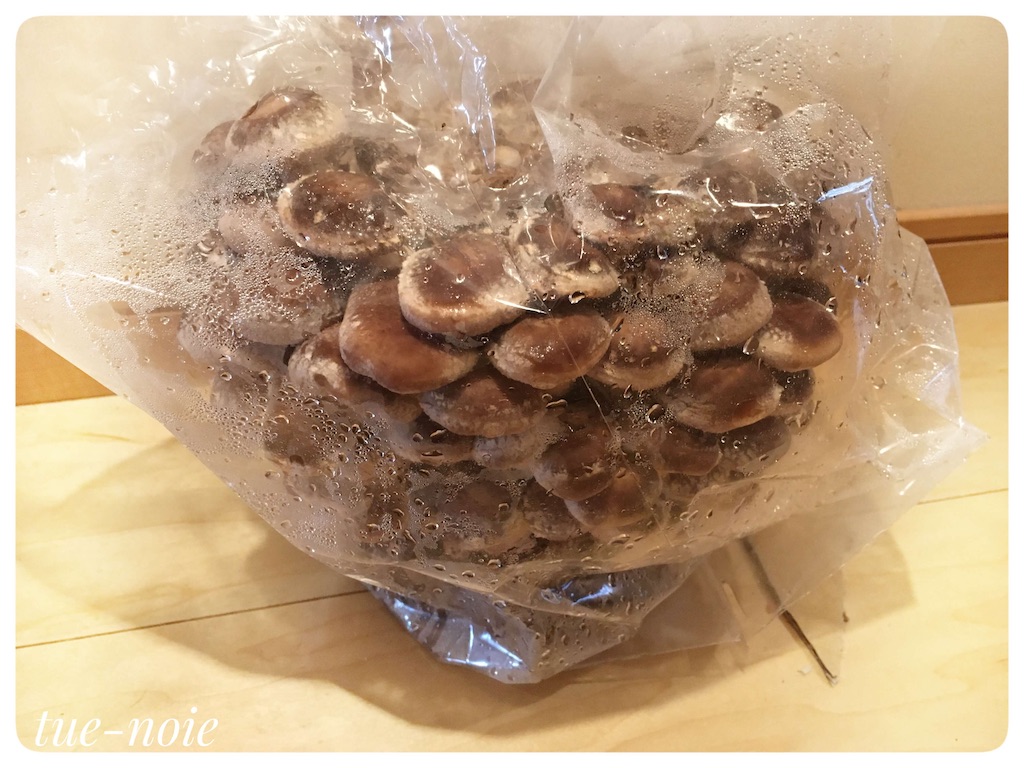 f:id:tueko:20210131191521j:image f:id:tueko:20210131191521j:image