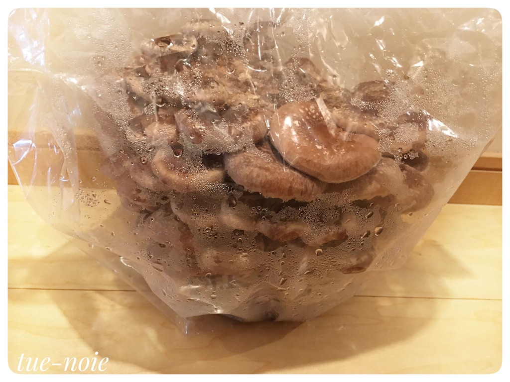 f:id:tueko:20210131191529j:image f:id:tueko:20210131191529j:image