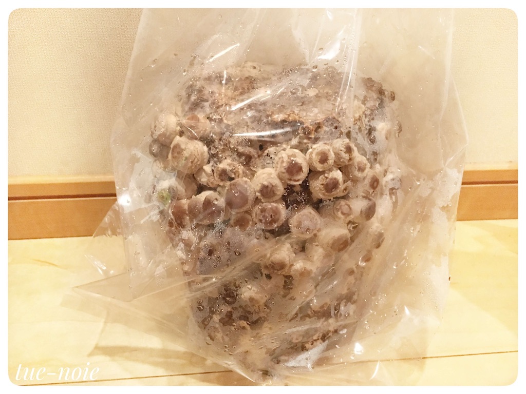 f:id:tueko:20210131191540j:image f:id:tueko:20210131191540j:image