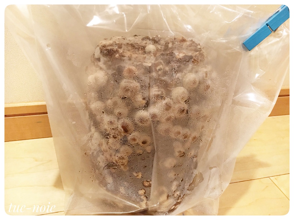 f:id:tueko:20210131191548j:image f:id:tueko:20210131191548j:image